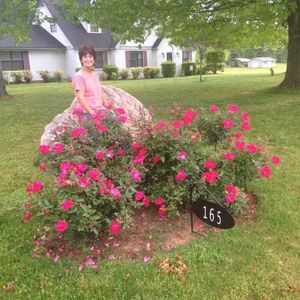 Meet your Posher, Patsy